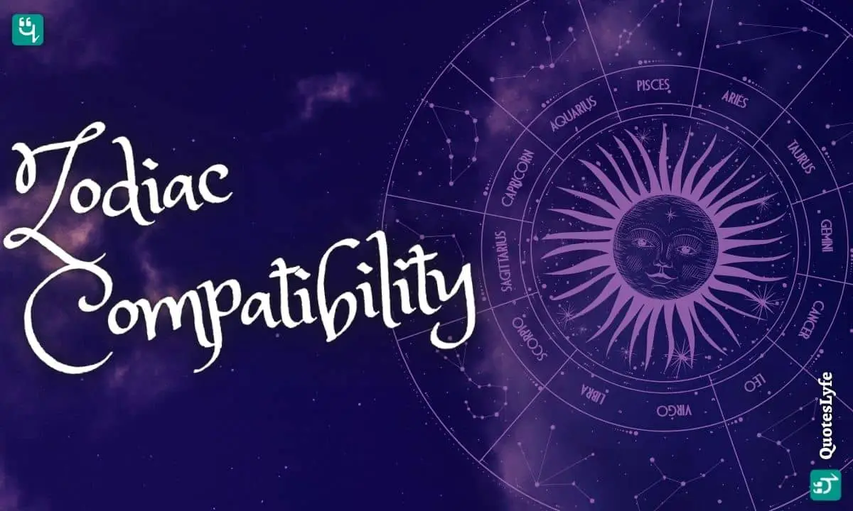 Zodiac Compatibility Test Signs That You Should And Shouldn T Date Quoteslyfe