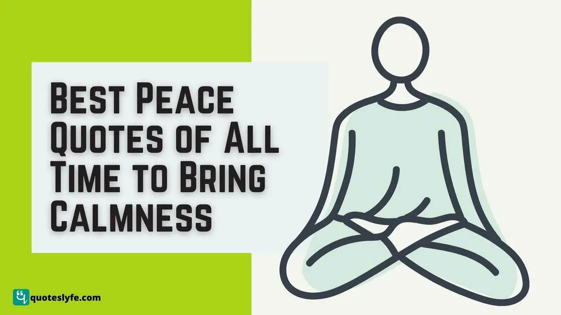 Best Peace Quotes of All Time to Bring Calmness