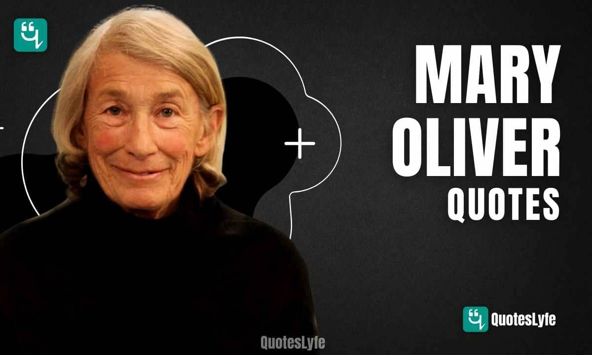 Famous Mary Oliver Quotes to Refresh Your Mind