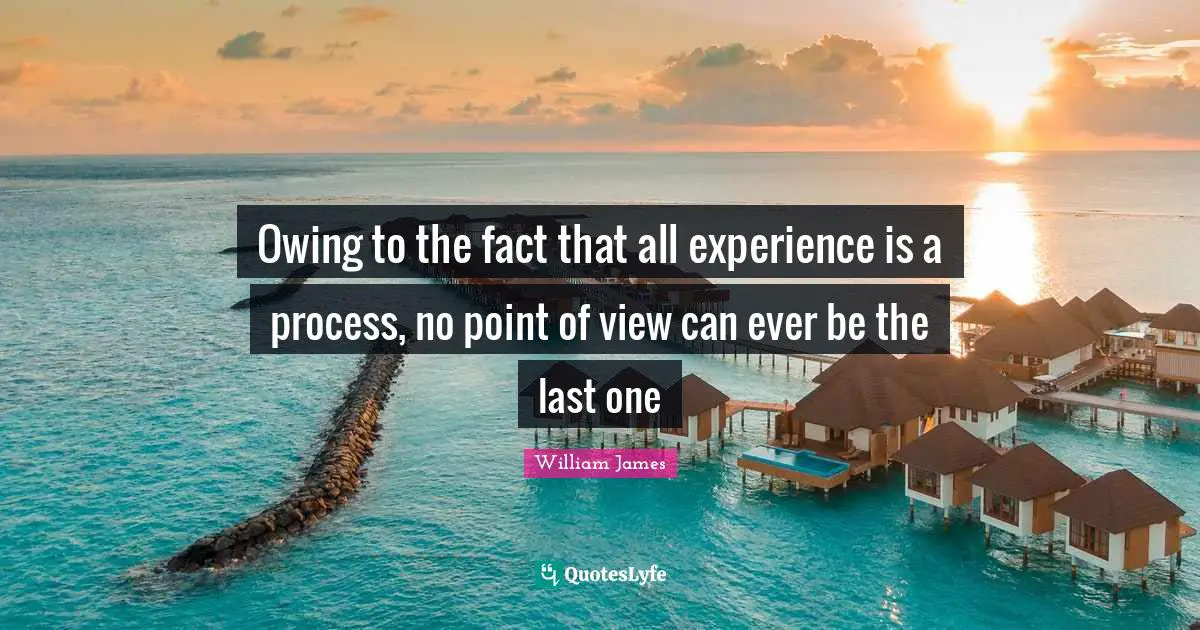 Owing To The Fact That All Experience Is A Process No Point Of View C 