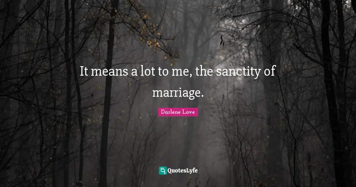 It Means A Lot To Me The Sanctity Of Marriage Quote By Darlene 