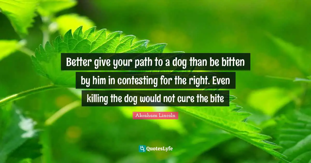 Better give your path to a dog than be bitten by him in contesting for ...