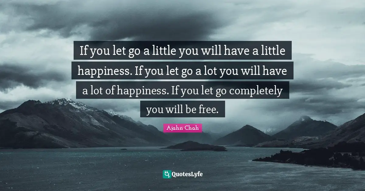 If you let go a little you will have a little happiness. If you let go ...