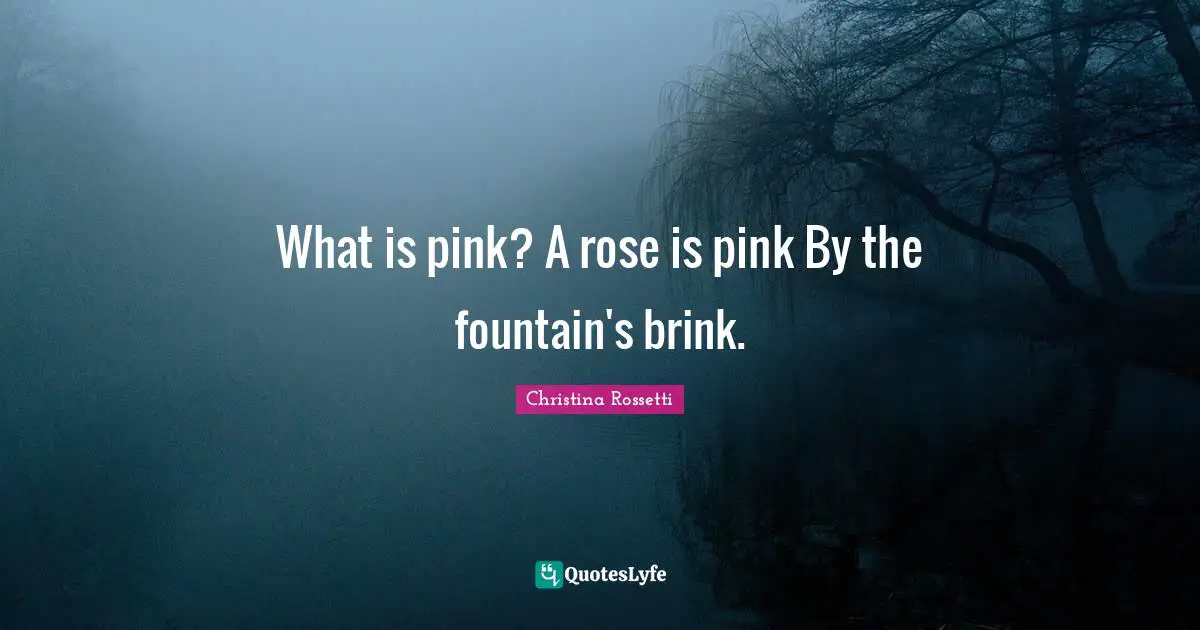 What Is Pink A Rose Is Pink 469779 
