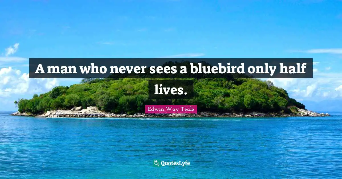 A man who never sees a bluebird only half lives.... Quote by Edwin Way ...