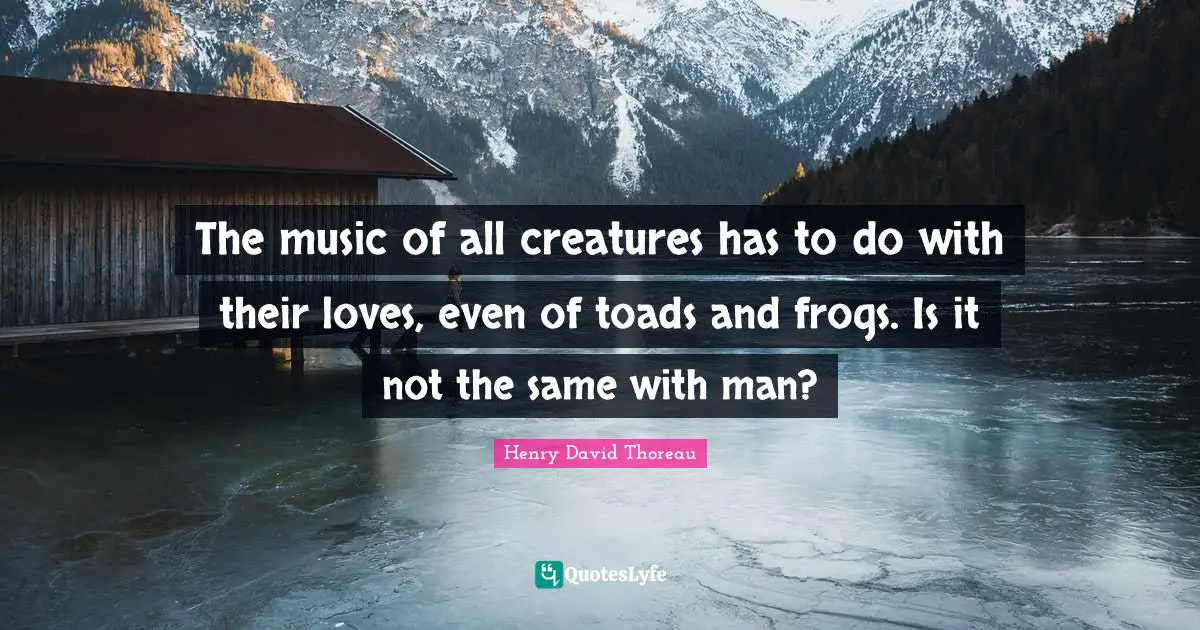 The music of all creatures has to do with their loves, even of toads a