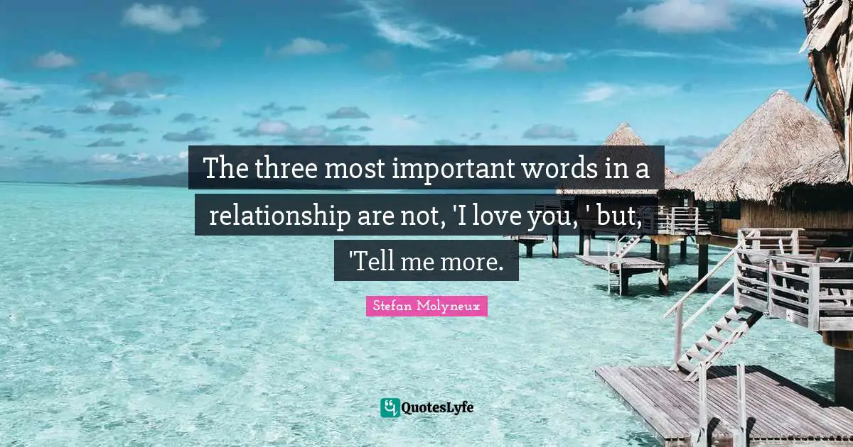 The Three Most Important Words In A Relationship Are Not I Love You Quote By Stefan 