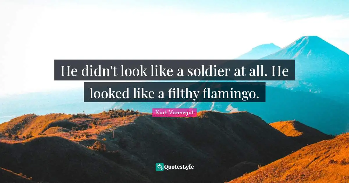 he-didn-t-look-like-a-soldier-at-all-he-looked-like-a-filthy-flamingo